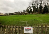 Plans approved for 16 homes on Ross paddock off 'rat run' lane