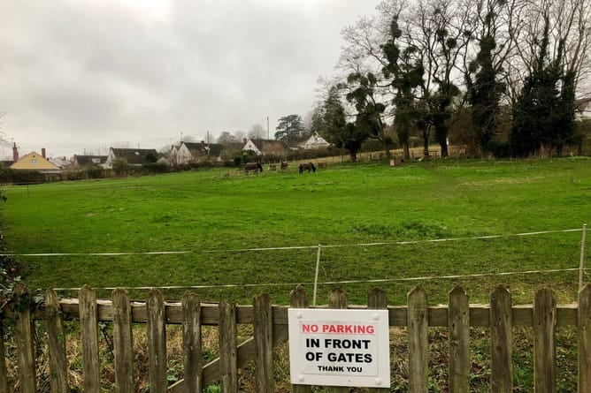 Houses are set to be built on the paddock off Merrivale Lane in Ross