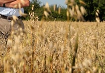 NFU Deputy urges Herefordshire farmers to prioritise food security