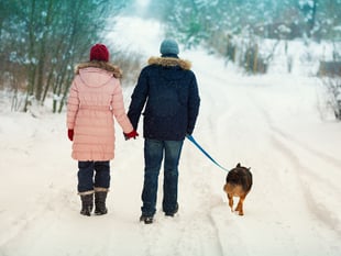 PDSA experts give tips on keeping pets safe in the cold

