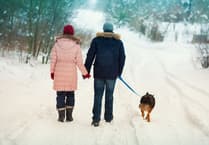  PDSA experts give tips on keeping pets safe in the cold
