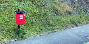 Use normal bins for dog poo says Herefordshire Council