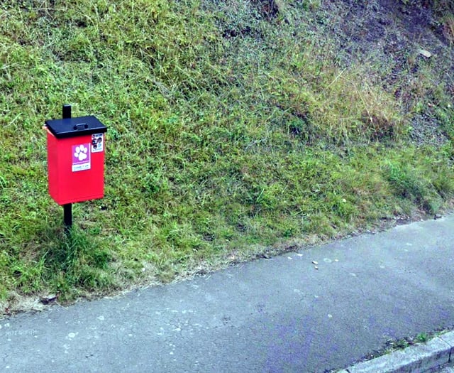 Use normal bins for dog poo says Herefordshire Council