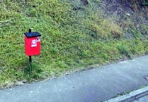 Use normal bins for dog poo says Herefordshire Council