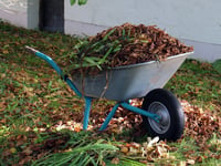 Council proposes £55 annual fee for garden waste collection service