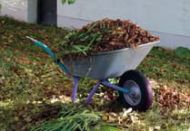 Herefordshire's new garden waste collection service