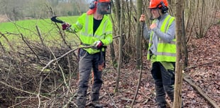 Dymock Forest embraces coppicing comeback with collaboration