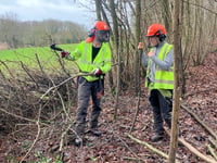 Dymock Forest embraces coppicing comeback with collaboration