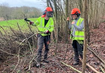 Dymock Forest embraces coppicing comeback with collaboration