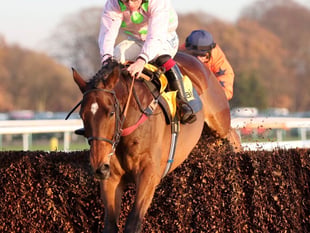 Royale Pagaille misses out in Haydock hat-trick bid