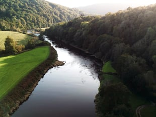 Rivers at risk of becoming wildlife deserts warns campaign group