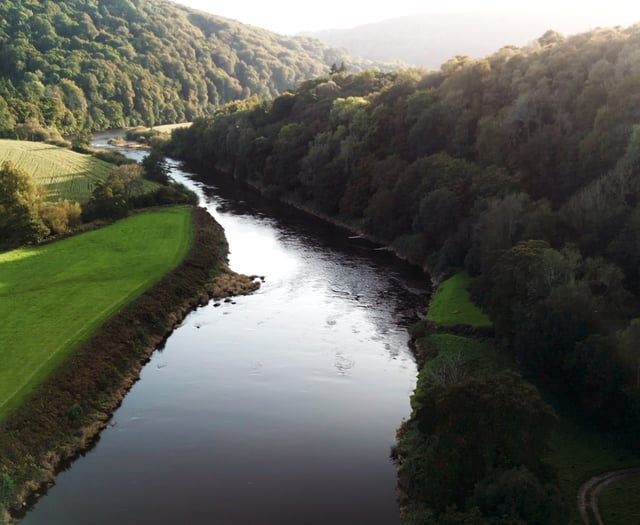 Rivers at risk of becoming wildlife deserts warns campaign group