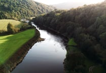 Rivers at risk of becoming wildlife deserts warns campaign group