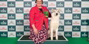 Crufts success for Ross dog owner