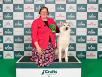 Crufts success for Ross dog owner