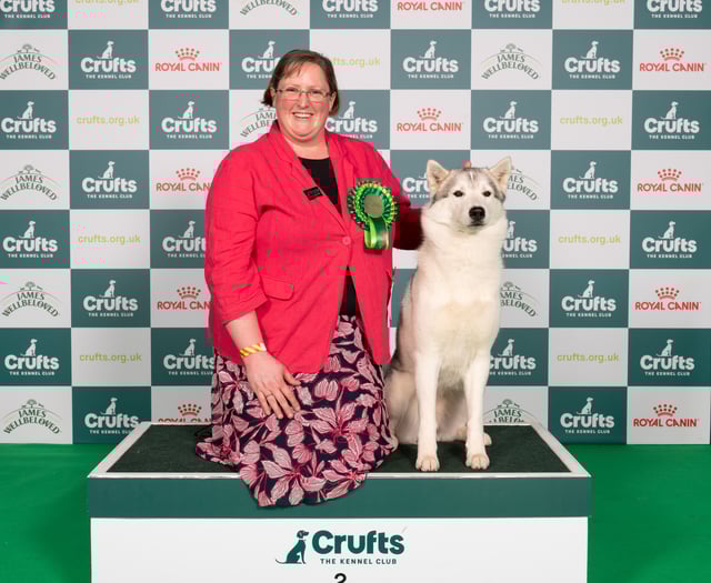 Crufts success for Ross dog owner