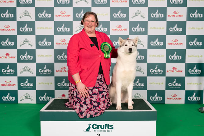 Helen Taylor-Morris from Ross-on-Wye with Nellie, a Siberian Husky, which was the Best of Breed winner today (Saturday 09.03.24), the third day of Crufts 2024.

Please credit: BeatMedia/The Kennel Club

