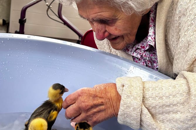 West Bank Care Home residents enjoy the company of ducklings this Easter
