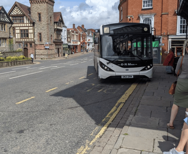 Daffodil Line’s first birthday rolls around 