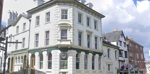 Alternative banking proposals for Ross