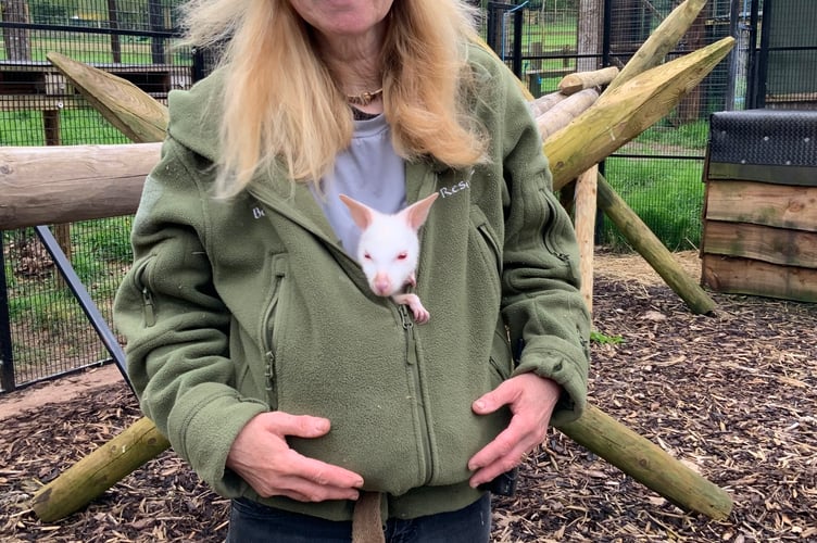 Lindsay's coat is a good place to keep warm for this little fellow