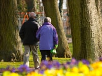 Forest of Dean has more green paths than almost anywhere in England