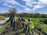 Dymock banks on daffodil restoration project for biodiversity drive
