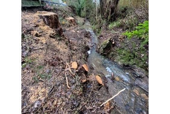 The landslip at Longhope