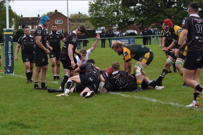 The referee signals a try for Newent. Picture: Georgina Gardner.