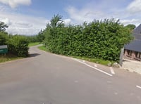 Outcry as Bulmers apple orchard destroyed