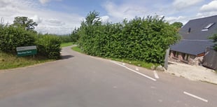 Outcry as Bulmers apple orchard destroyed