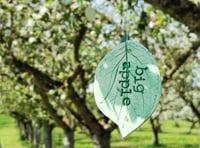 Blossomtime 2024: Celebrating local culinary fruits 