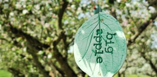 Blossomtime 2024: Celebrating local culinary fruits 