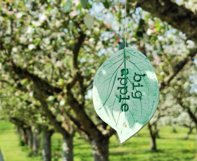 Blossomtime 2024: Celebrating local culinary fruits 