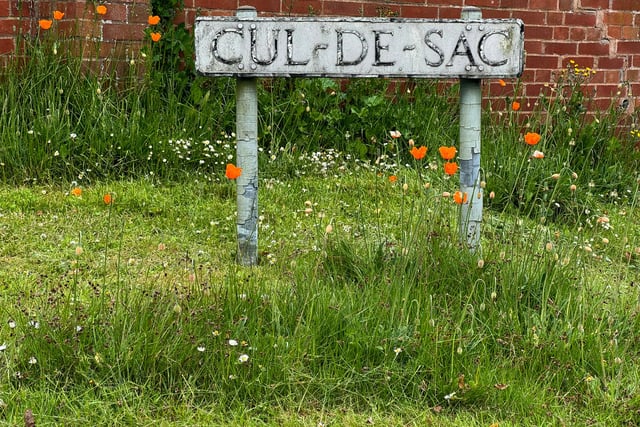 Community Highlights: In the parishes, wildlife and clubs 