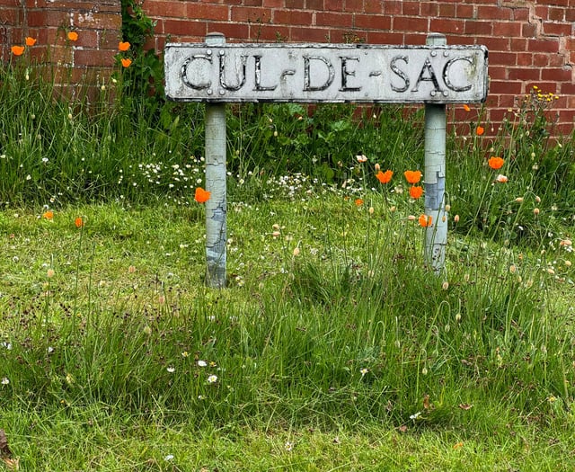 Community Highlights: In the parishes, wildlife and clubs 