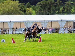 Don't miss Monmouthshire Show this weekend