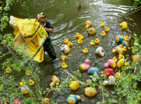 Quacking success at Dymock Duck Race