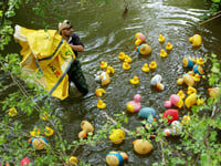 Quacking success at Dymock Duck Race