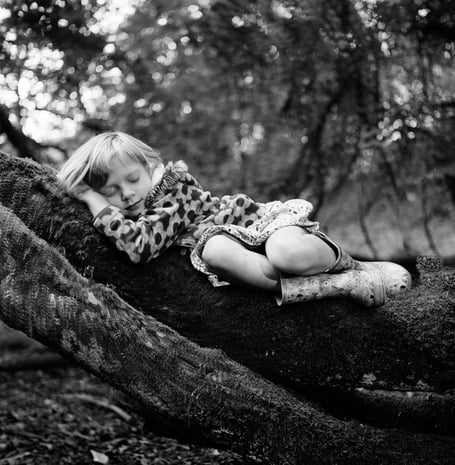 Wye Wonderment will be on display at Clearwell Caves cafe until June 2