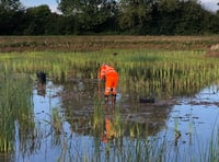 Innovative wetland project recognised with award