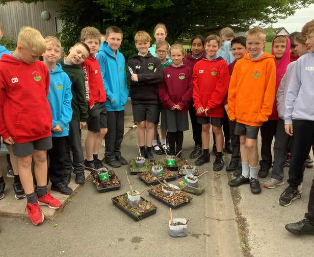 Ross children become citizen scientists