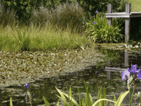 Goodrich garden open to visitors 