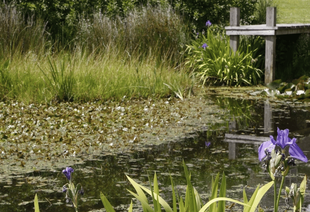 Goodrich garden open to visitors 