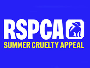 RSPCA reveals 115 animal abuse reports in Herefordshire this year