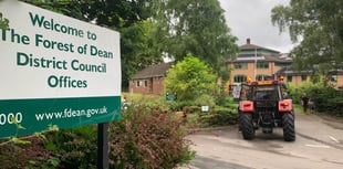 Council backs call on 'plant-based' food