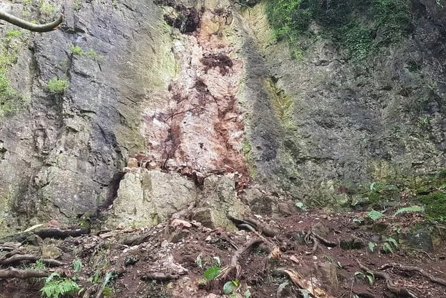 Forestry England installs rock capture fence at Symonds Yat