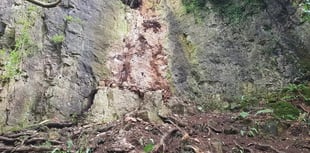 Symonds Yat cliff-face to remain closed to climbers