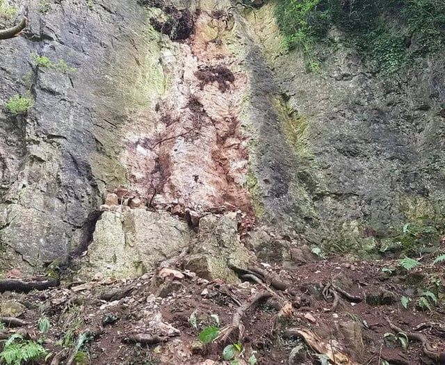 Forestry England installs rock capture fence at Symonds Yat