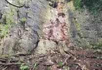 Forestry England installs rock capture fence at Symonds Yat
